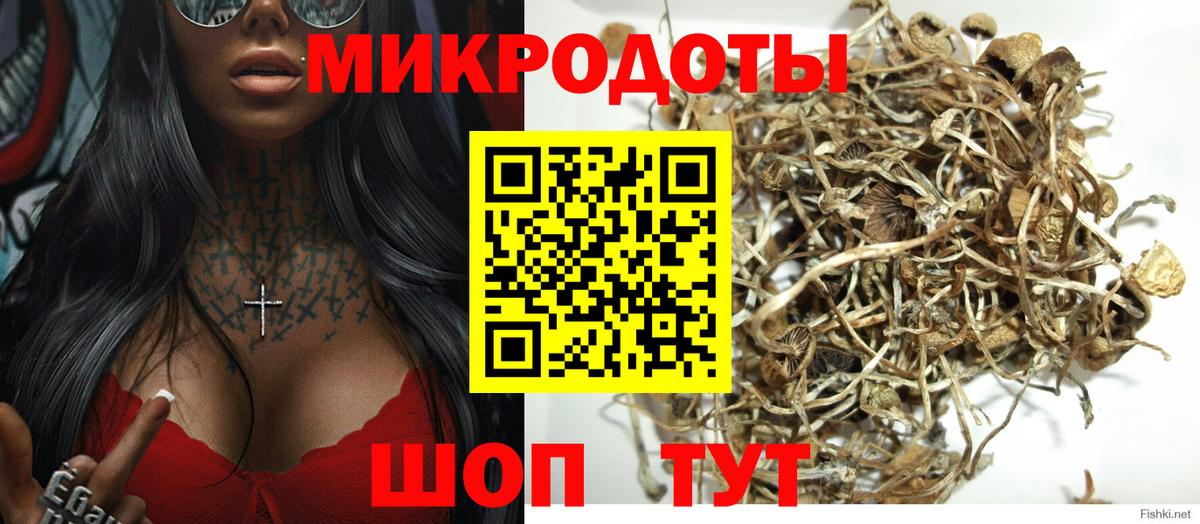 Псилоцибиновые грибы мицелий  Галлюциногенные грибы Psilocybine cubensis  Аксай 