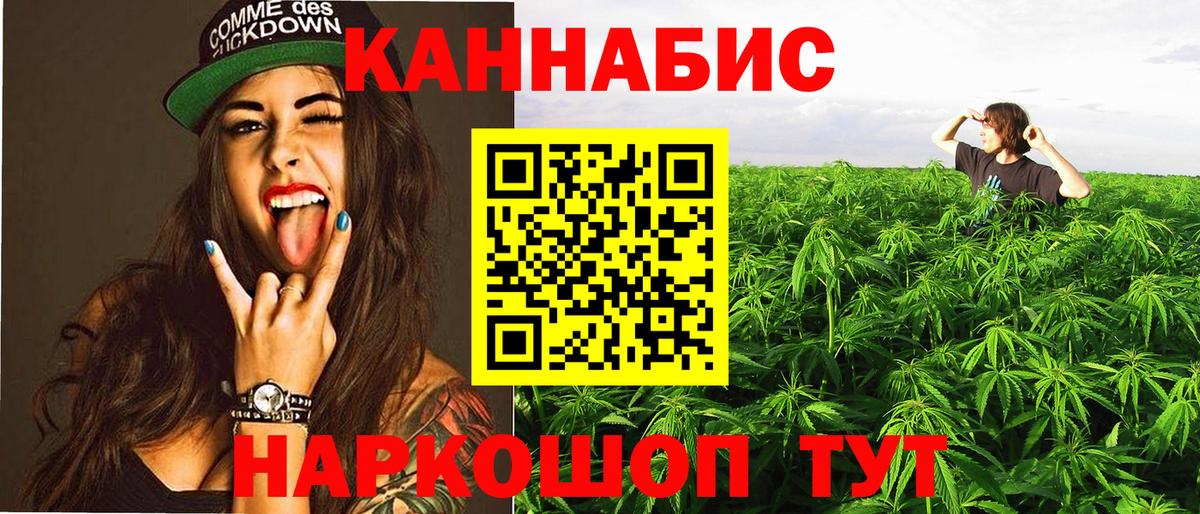Бошки Шишки марихуана  Канабис Bruce Banner  Аксай  Конопля сатива 